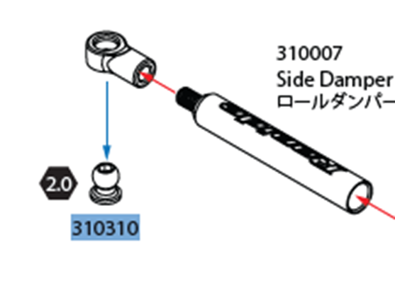 ROCHE-310310