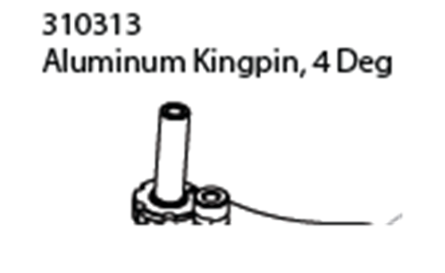 ROCHE-310313